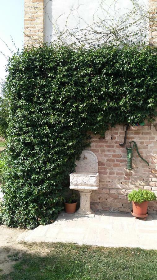 Villanova sull'ArdaL'Albero Della Gioia住宿加早餐旅馆 外观 照片