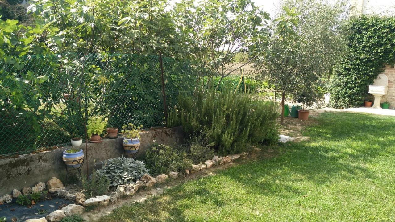 Villanova sull'ArdaL'Albero Della Gioia住宿加早餐旅馆 外观 照片